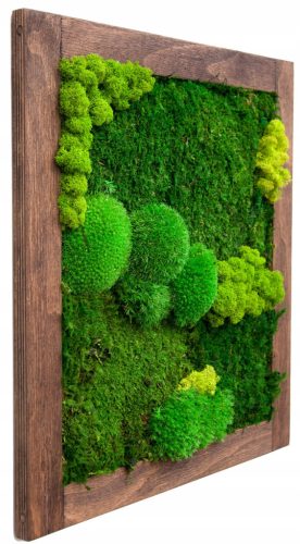 Pictures on the wall MOSS PICTURE, WOODEN FRAME