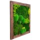 Pictures on the wall MOSS PICTURE, WOODEN FRAME