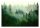 Wall mural "Foggy Forest" in Scandinavian style 416x254