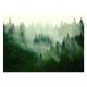 Wall mural "Foggy Forest" in Scandinavian style 416x254