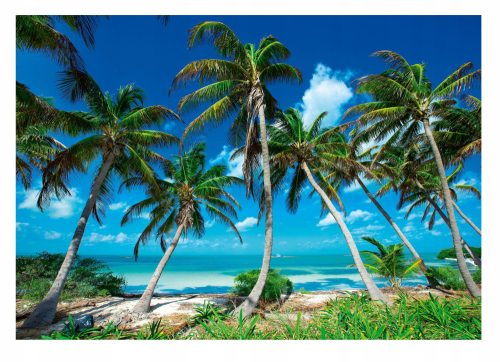 Photo wallpaper PARADISE BEACH 3D Palm Sea 416x254