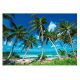 Photo wallpaper PARADISE BEACH 3D Palm Sea 416x254