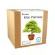  Set for growing a bonsai tree, Maple Palm Leaf