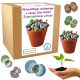 Cool, funny gadgets set of growing living stones, gift for women's day