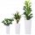  Pygmy flowerpot 25 cm x 25 x 46.5 cm diameter 25 cm plastic white, black, multicolored