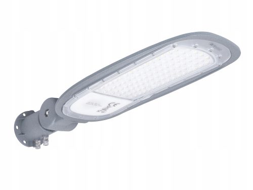  LED Labs street light 100 W 9800 lm mains operated