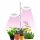 Lamp for plant cultivation - GROW floor lamp for plant cultivation Sunmag 20 W