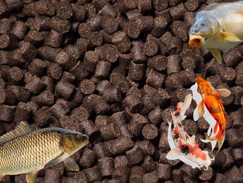  ALLER PRIMO FLOATING FOOD CARP WELLS 6mm 5kg bag