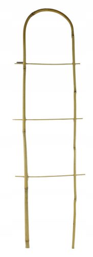  plant ladder 120 x 30 cm