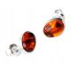  Silver EARRINGS with AMBER studs + CERTIFICATE