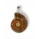  Ammonite pendant, metal setting