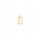  GOLD PENDANT SMALL LETTER EZ WITH DIAMOND ENGRAVING