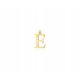  GOLD PENDANT SMALL LETTER EZ WITH DIAMOND ENGRAVING