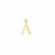  GOLD PENDANT SMALL LETTER AZ WITH DIAMOND ENGRAVING