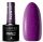  Hybrid nail polish Claresa Colored nail polish Shades of purple Purple 631