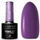  CLARESA Purple 636 5g hybrid varnish