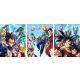  3x PEINTURE MURALE HISTOIRE DE DRAGON BALL 50x70