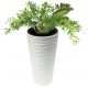  Valle Verde flowerpot 30 cm x 30 x 52 cm diameter 30 cm plastic white