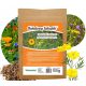  Decorative grass, grass mixture, garden Rolmarket 25 m² 0.1 kg