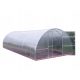 Polytunnel, panneaux plastiques, serre Profimet 6 x 3,5 mx 200 cm