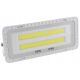 Halogens for outdoor and garden Halogen cold white 2500 lm 50 W