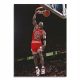  PEINTURE SUR TOILE POUR LE SALON MICHAEL JORDAN 70x100