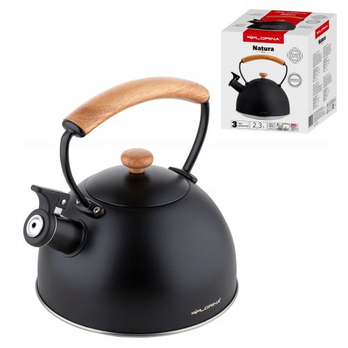 Kettles and teapots Traditional steel kettle Florina 2.3 l, black