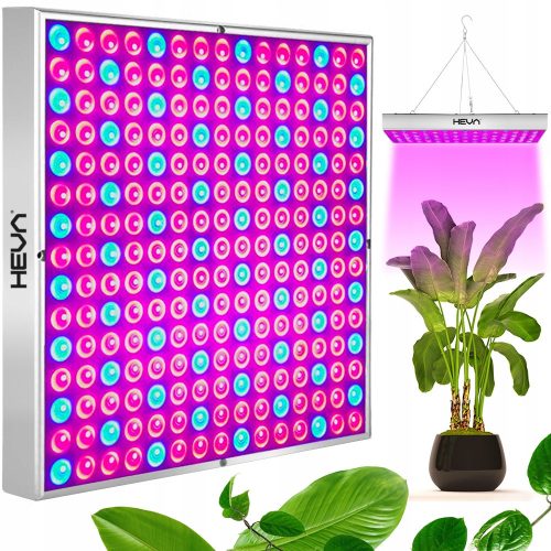 Lamp for plant cultivation - GROW LED panel for growing HEVA 30 W plants