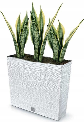  Prosperplast flowerpot 58 cm x 18 x 49.8 cm, white plastic