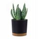  Prosperplast flowerpot 24 cm x 24 x 23.1 cm diameter 24 cm plastic black, graphite, brown and beige tones