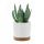  Prosperplast flowerpot 24 cm x 24 x 23.1 cm diameter 24 cm plastic white, brown and beige tones