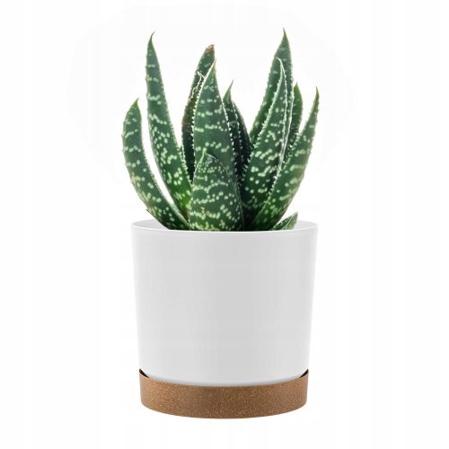  Prosperplast flowerpot 24 cm x 24 x 23.1 cm diameter 24 cm plastic white, brown and beige tones