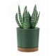  Prosperplast flowerpot 23.1 cm x 23.9 x 23.1 cm diameter 23.9 cm plastic in green tones