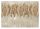 Photo wallpaper FEATHER LEAVES 3D concrete imitation 312x219