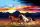 PHOTO WALLPAPER HORSES GALOP SUNSET MOUNTAINS 360x240