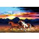 PHOTO WALLPAPER HORSES GALOP SUNSET MOUNTAINS 360x240