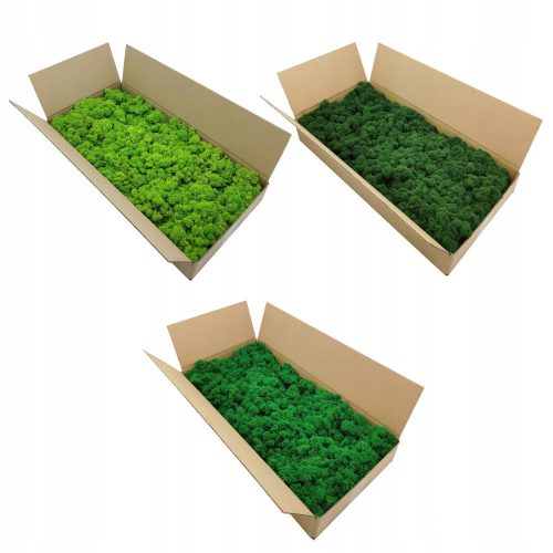 Decorative Moss Dekomoos in a box 500g 30 x 30cm