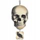  Skull hanging Amscan 44 cm