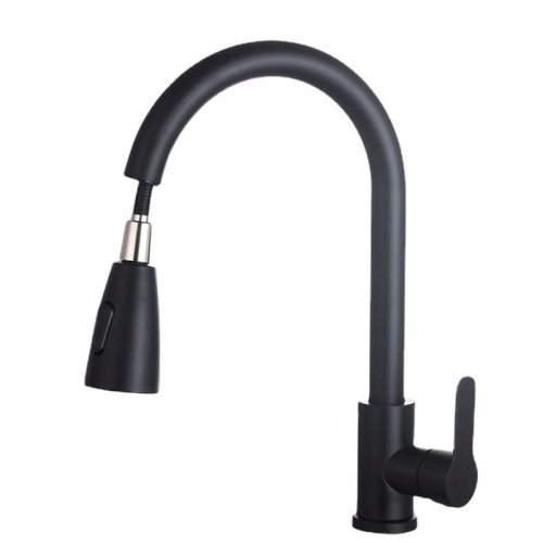 Delvant AYRO floor-standing kitchen faucet, black