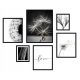 Images au mur 6x POSTER CADRE PHOTO BOHO FRAMES PISSENICE