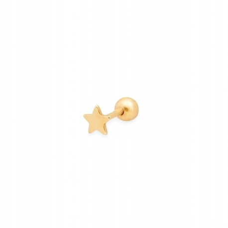  Silver gold-plated star earring ANIA KRUK