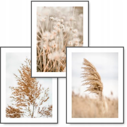  BOHO lot de 3 tableaux 30x40 NATURAL GRASS poster #12