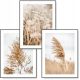  BOHO lot de 3 tableaux 30x40 NATURAL GRASS poster #12