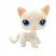  LPS Littlest Pet Shop SHORTHAIR KITTEN