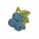  Oli & Carol teething ring, multi-colored rubber