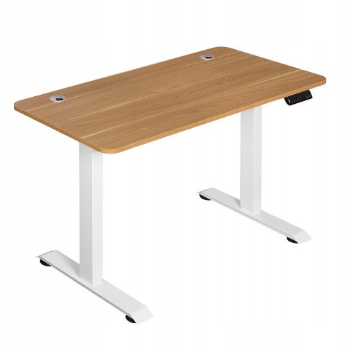  Woltu rectangular desk 120 x 60 x 116 cm, natural oak