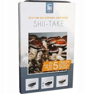 Mycelium of Mushrooms Shiitake Exotic Grow Mushroom Growing Kit