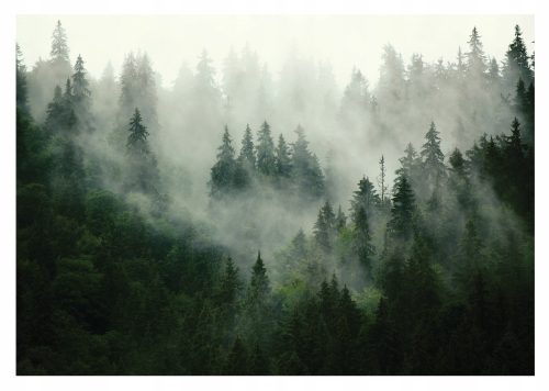 NATURAL FOREST in the fog photo wallpaper 400x280cm for the living room