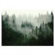 NATURAL FOREST in the fog photo wallpaper 400x280cm for the living room