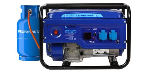  Portable Single-Phase Thunder 3000 W Gas Generator